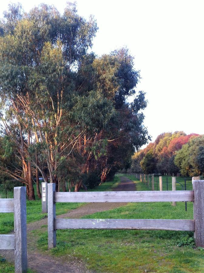 The Estate Koroit Boutique Hotel Kültér fotó