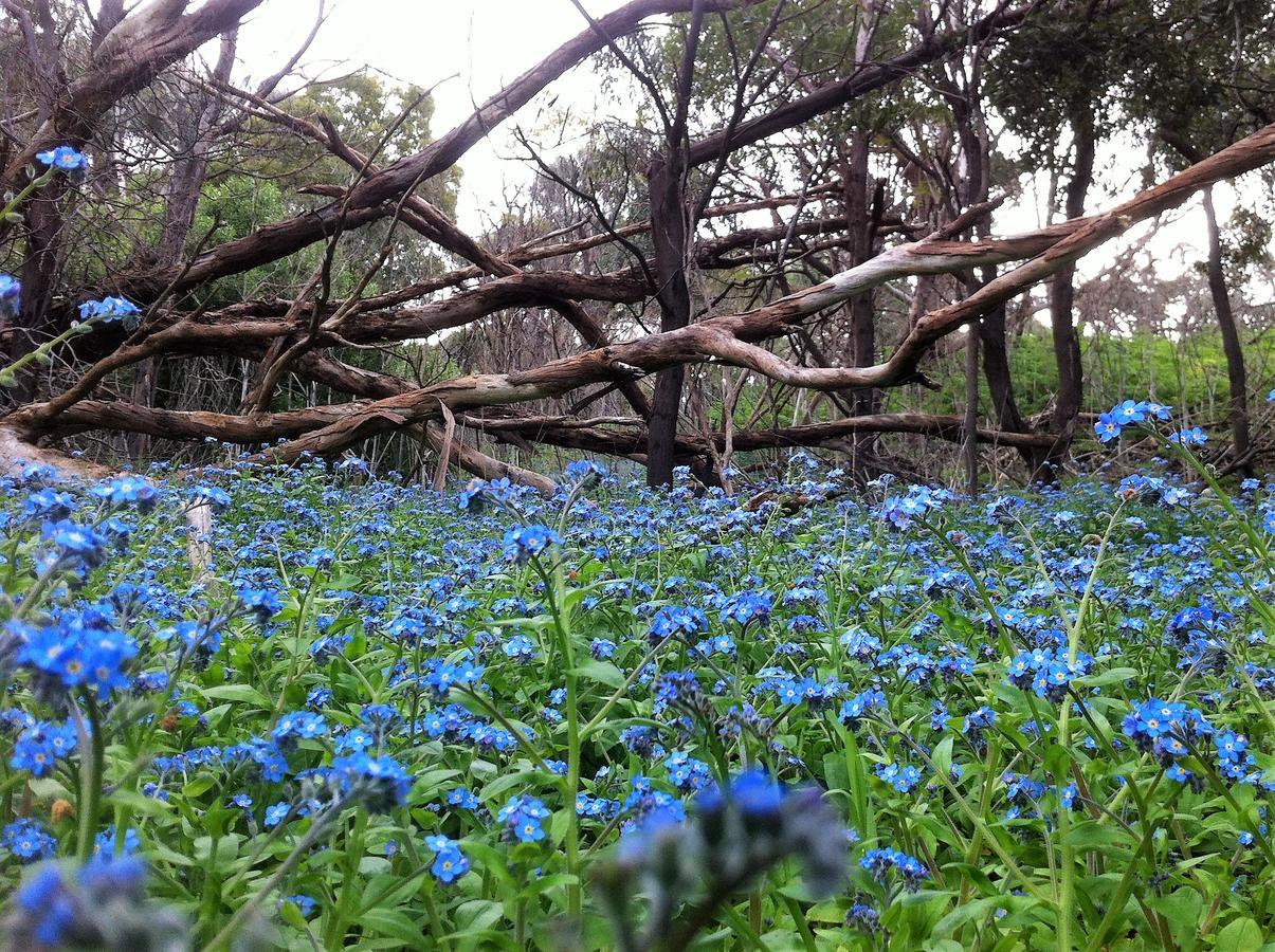 The Estate Koroit Boutique Hotel Kültér fotó